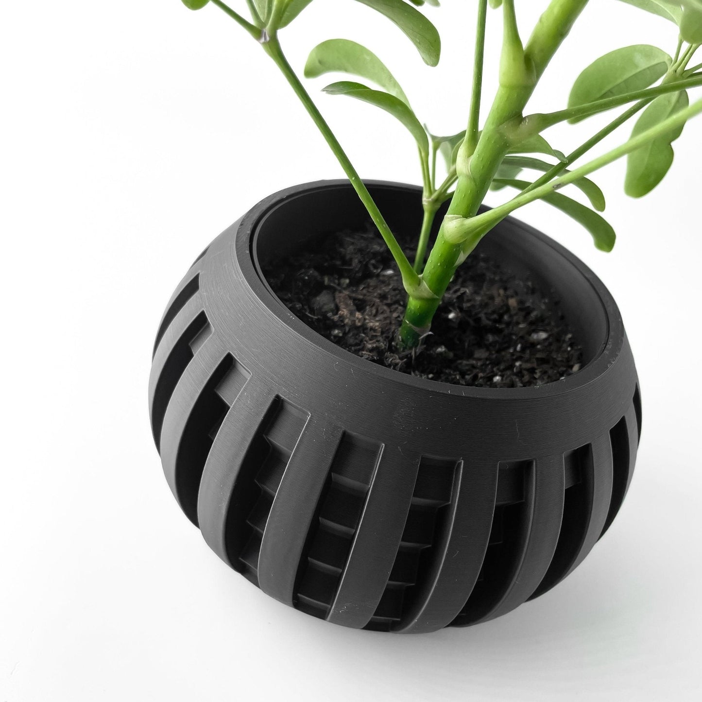 Jarrón Decorativo Amada – Plantas de Interior de Diseño Geométrico Contemporáneo