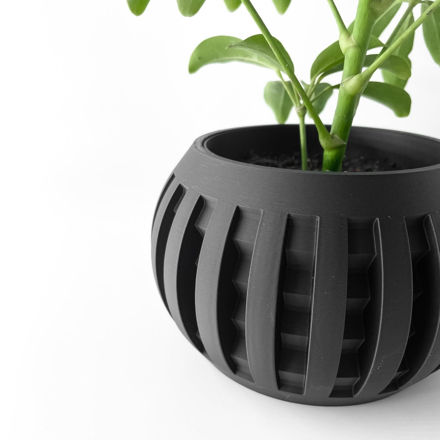 Jarrón Decorativo Amada – Plantas de Interior de Diseño Geométrico Contemporáneo