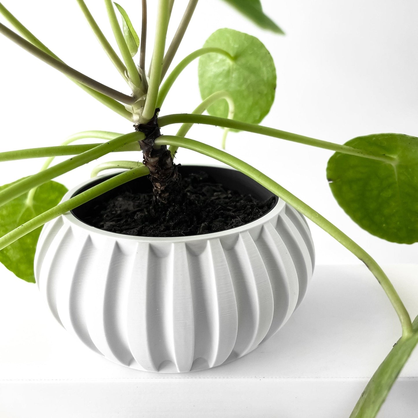 Jarrón decorativo Alden – Diseño moderno para plantas de interior