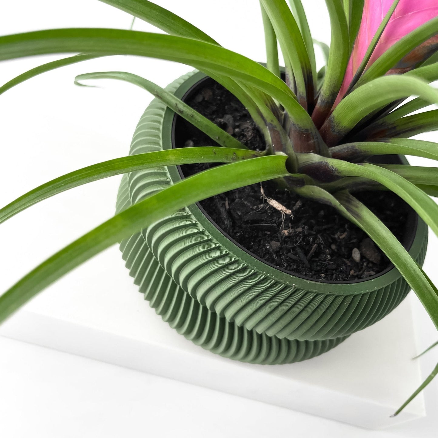 Avex Jarrón Decorativo para Plantas - Diseño Moderno y Sostenible