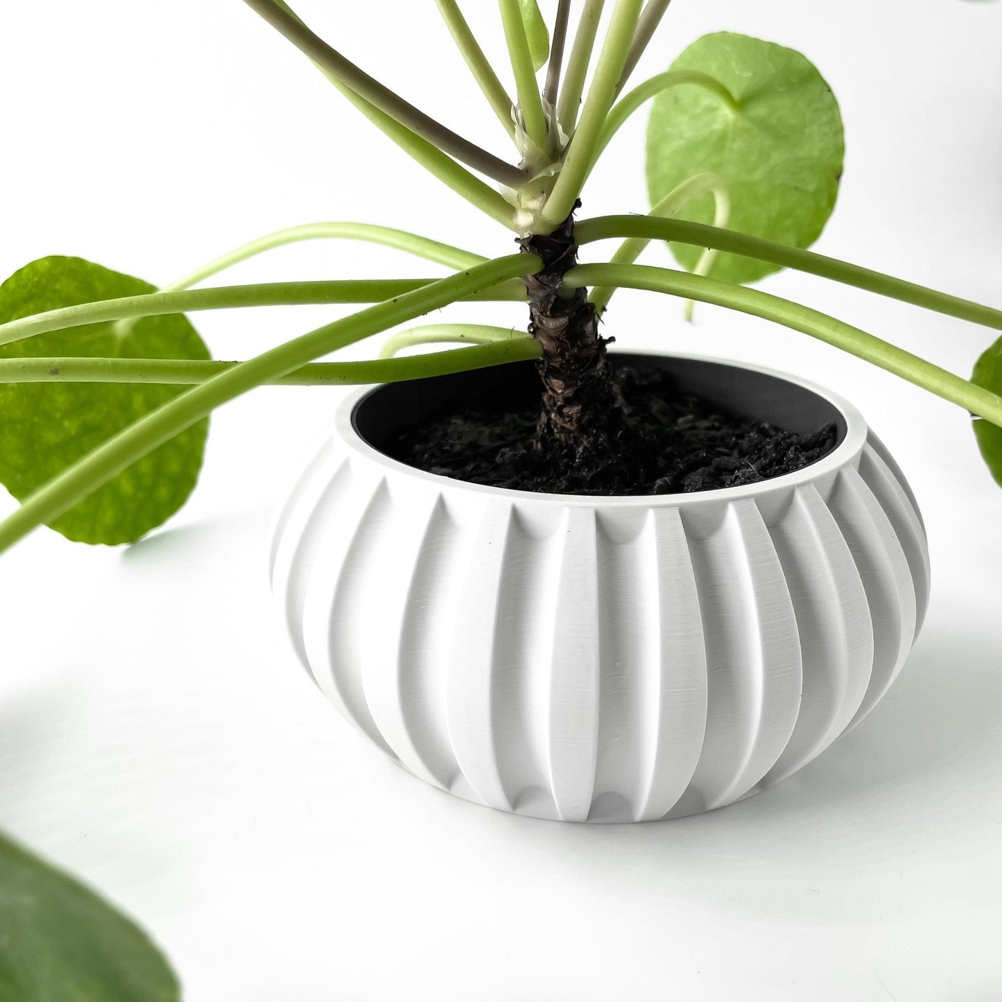 Jarrón decorativo Alden – Diseño moderno para plantas de interior