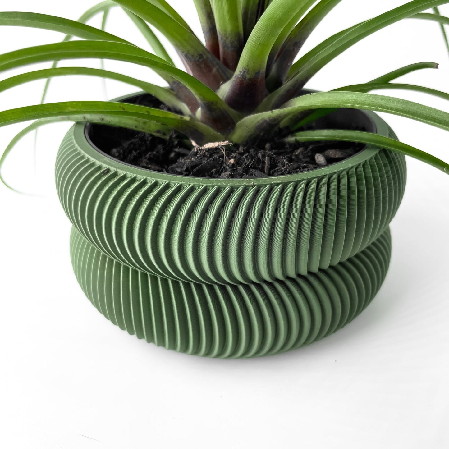 Avex Jarrón Decorativo para Plantas - Diseño Moderno y Sostenible