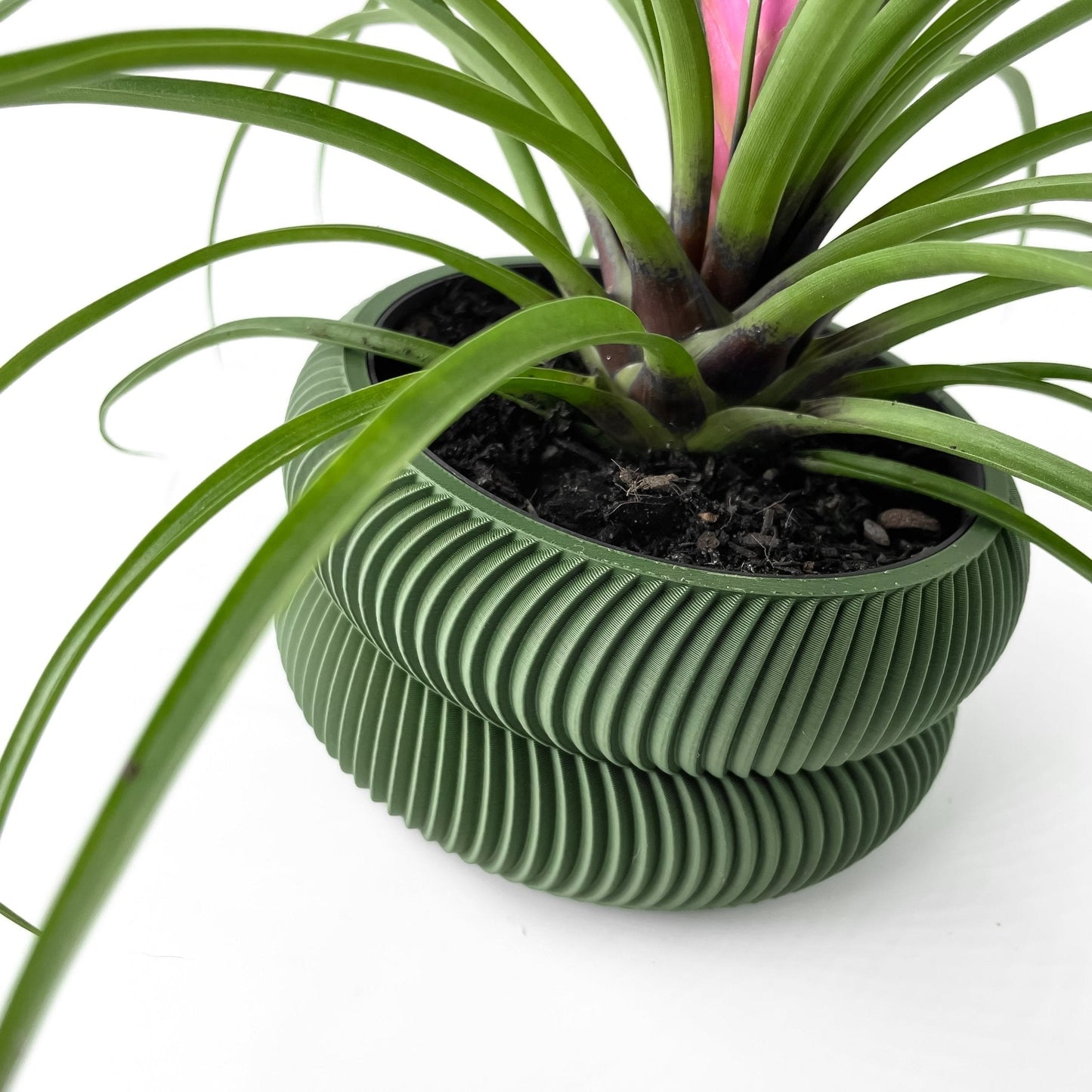 Avex Jarrón Decorativo para Plantas - Diseño Moderno y Sostenible