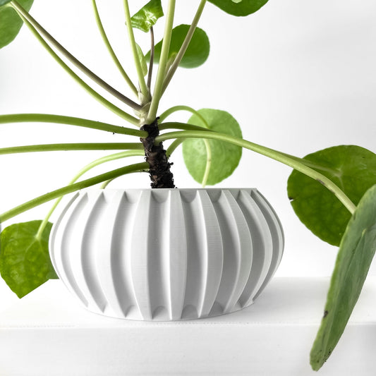 Jarrón decorativo Alden – Diseño moderno para plantas de interior