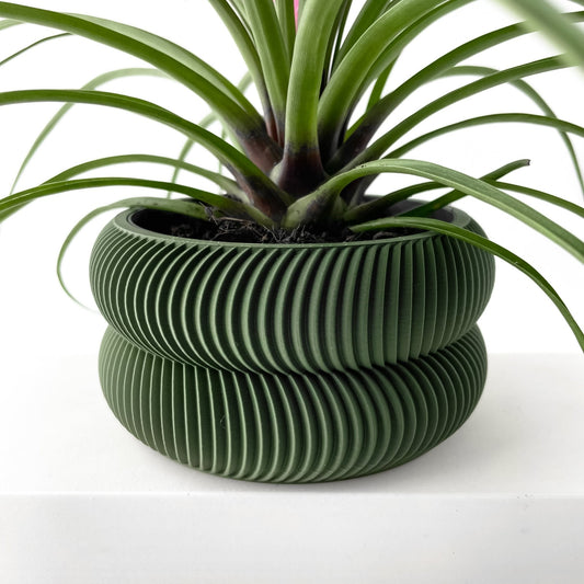 Avex Jarrón Decorativo para Plantas - Diseño Moderno y Sostenible