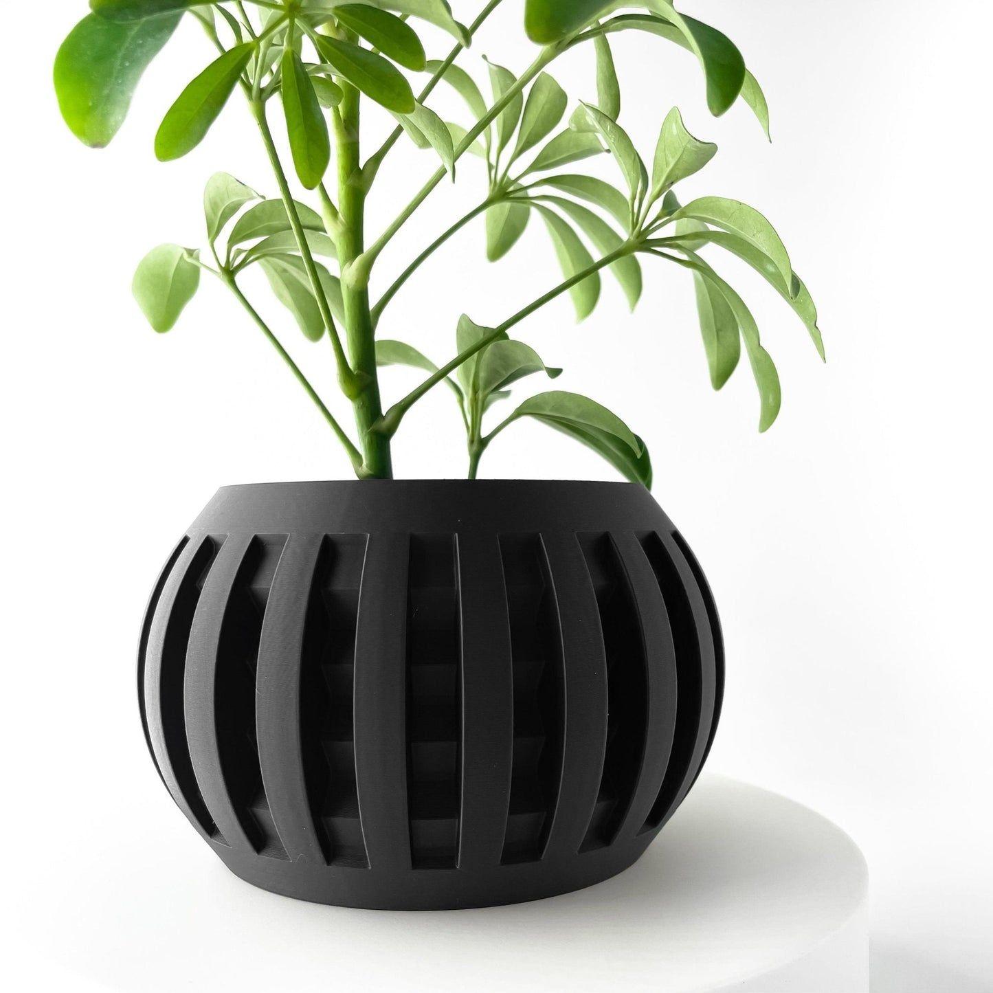 Jarrón Decorativo Amada – Plantas de Interior de Diseño Geométrico Contemporáneo