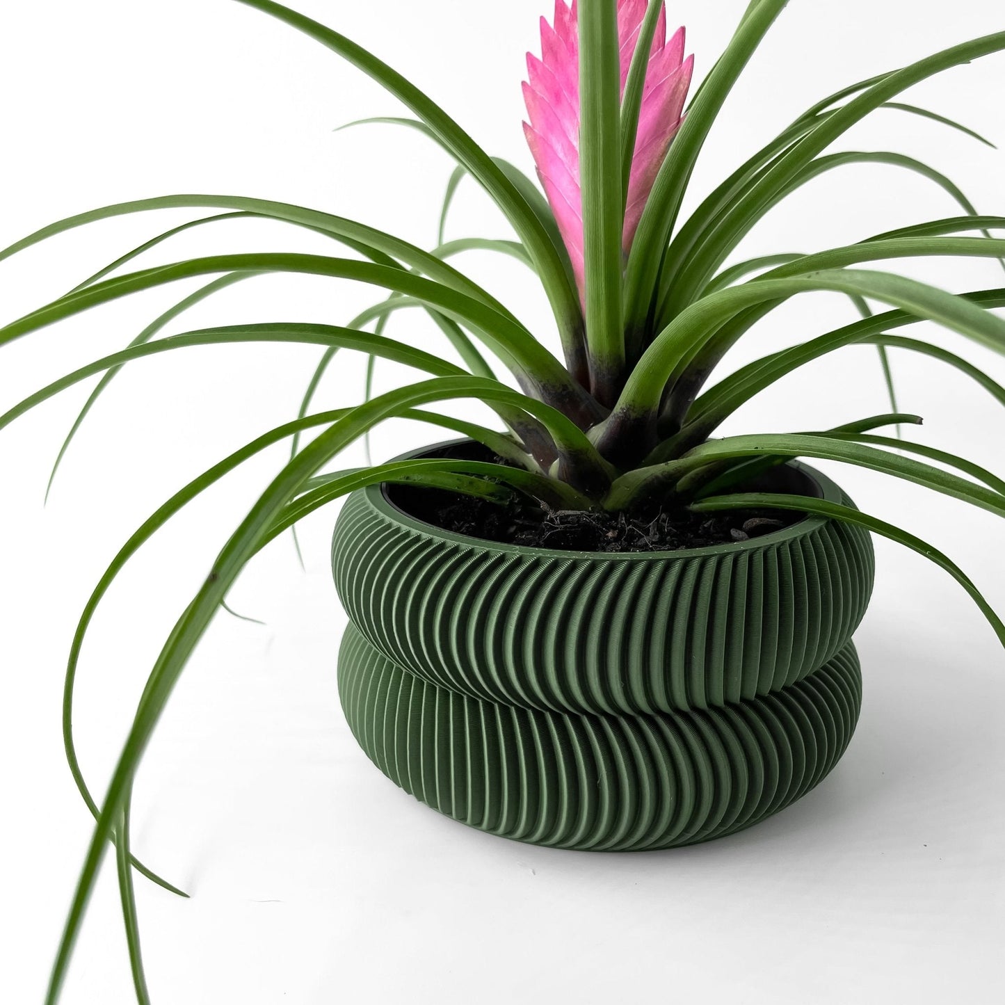 Avex Jarrón Decorativo para Plantas - Diseño Moderno y Sostenible