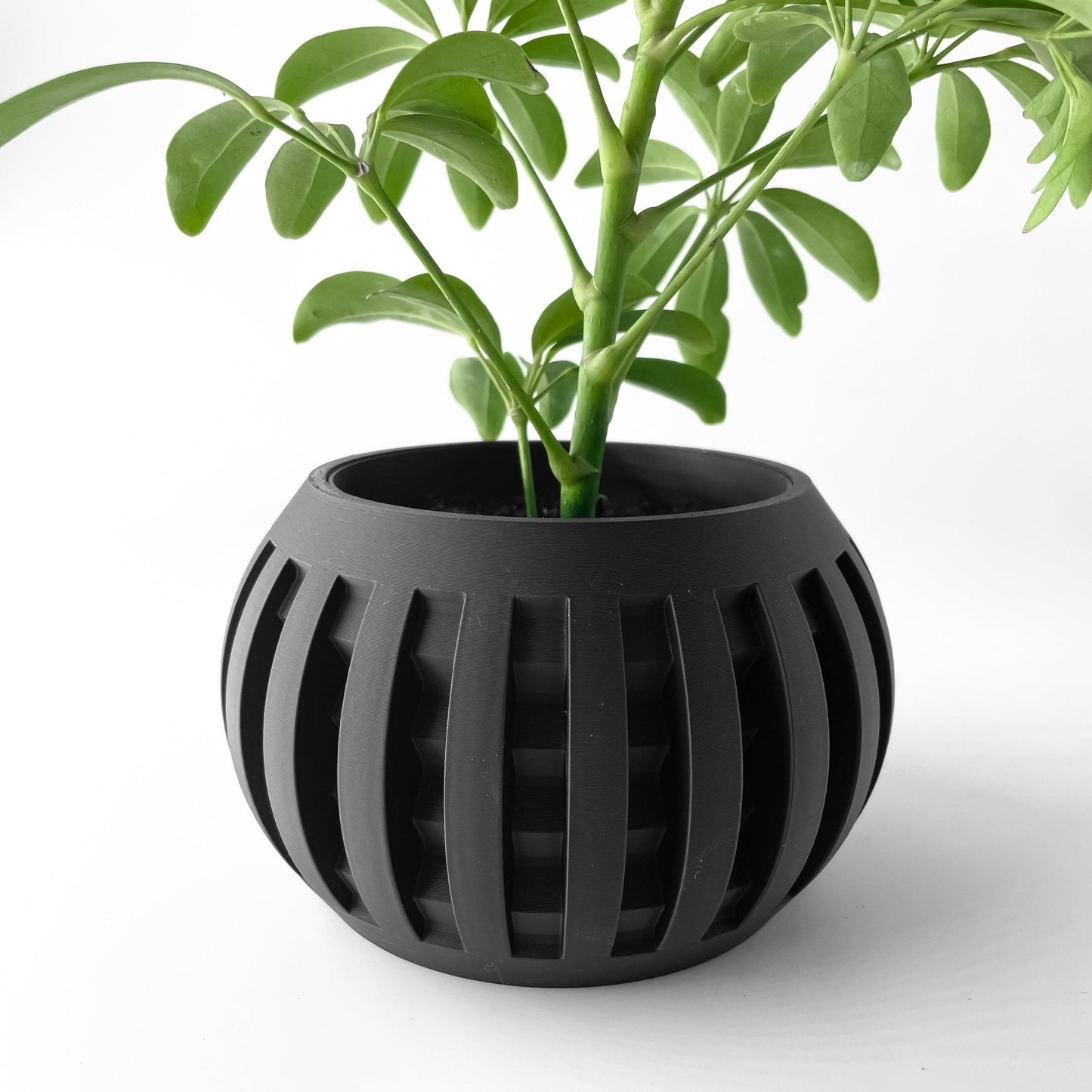 Jarrón Decorativo Amada – Plantas de Interior de Diseño Geométrico Contemporáneo