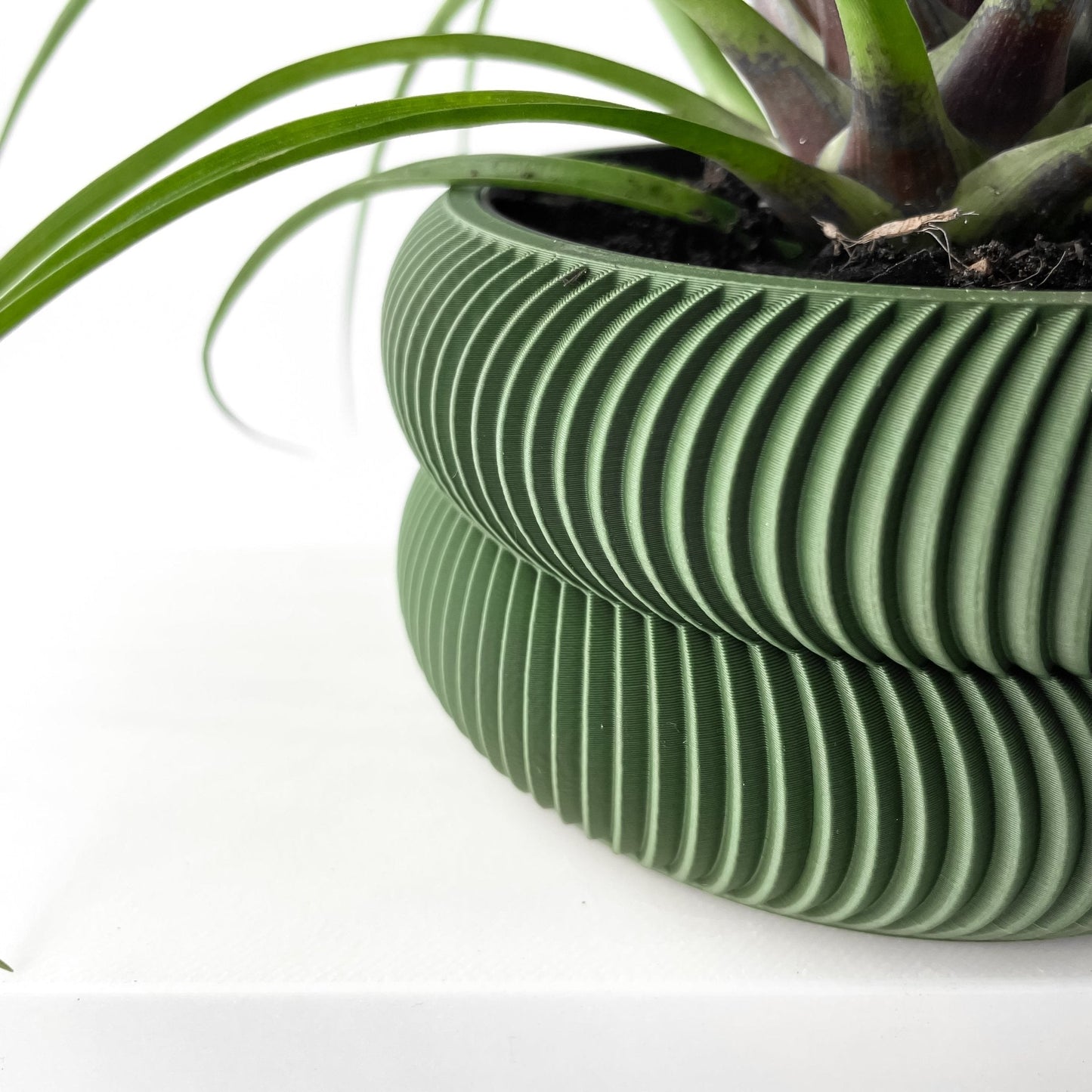 Avex Jarrón Decorativo para Plantas - Diseño Moderno y Sostenible